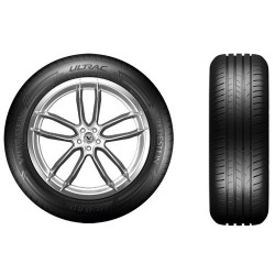 Vredestein 205/60 R17 ULTRAC [97] W XL *